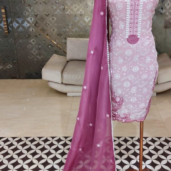 Designer Organza Heavy Thread Embroidery Work Suit