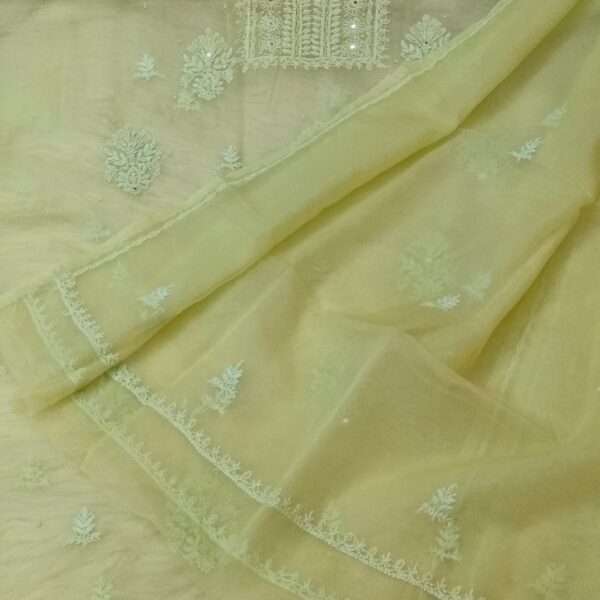 Lakhnawi Organza Kurta Dupatta set with Embroidered