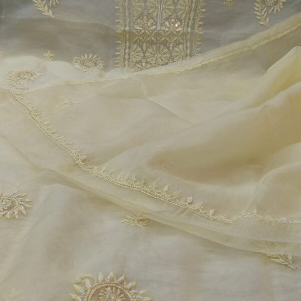 Lakhnawi Organza Kurta Dupatta set with Embroidered